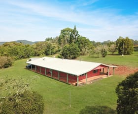 Rural / Farming commercial property for sale at 29 Bew Road Ravenshoe QLD 4888
