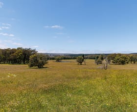 Rural / Farming commercial property sold at 374 Ivers Forest Road Chatham Valley NSW 2787