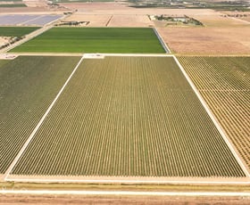 Rural / Farming commercial property sold at 229 Savage Road Bilbul NSW 2680