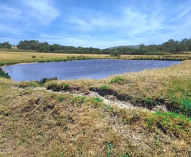 Rural / Farming commercial property for sale at 21, lot 21 hazelvale road Tingledale WA 6333