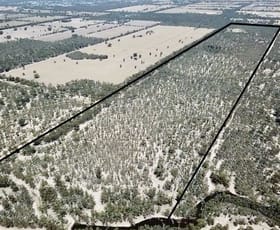 Rural / Farming commercial property for sale at Lot 53 Old Deniliquin Road Moama NSW 2731