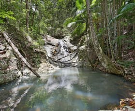 Rural / Farming commercial property for sale at 138 Araluen Road Tallebudgera Valley QLD 4228