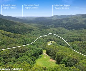 Rural / Farming commercial property for sale at 138 Araluen Road Tallebudgera Valley QLD 4228