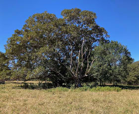 Rural / Farming commercial property for sale at 363 Middle Pocket Road Middle Pocket NSW 2483