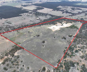 Rural / Farming commercial property for sale at 00 Korong Vale-Wychitella Road Woolshed Flat VIC 3518