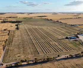 Rural / Farming commercial property sold at 705 Lomos North Road Bulyee WA 6306