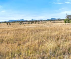 Rural / Farming commercial property sold at 159 Duri-Winton Road Tamworth NSW 2340