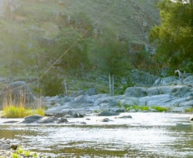 Rural / Farming commercial property sold at 2663 The Bridle Track Bruinbun NSW 2795