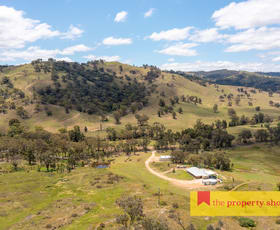 Rural / Farming commercial property for sale at 900 Yarrabin Road Mudgee NSW 2850