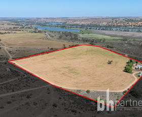 Rural / Farming commercial property for sale at 965 Purnong Road Mannum SA 5238