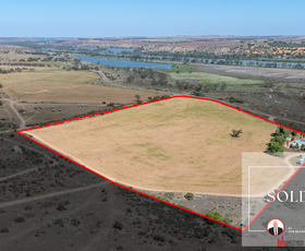 Rural / Farming commercial property for sale at 965 Purnong Road Mannum SA 5238