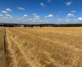 Rural / Farming commercial property for sale at Greys, Albany Hwy frontage Crossman WA 6390