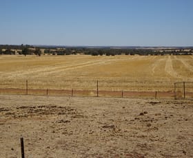 Rural / Farming commercial property for sale at 210 Yenellin Road East Pingelly WA 6308