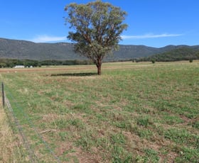 Rural / Farming commercial property for sale at "Glen Bovie" 272 Langens Lane Tamworth NSW 2340