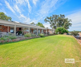 Rural / Farming commercial property for sale at 748 Henty Road Henty WA 6236