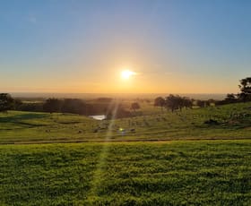 Rural / Farming commercial property for sale at 748 Henty Road Henty WA 6236