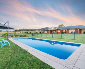 Rural / Farming commercial property for sale at 464 Dights Forest Road Jindera NSW 2642