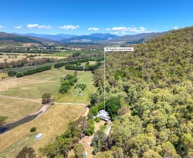 Rural / Farming commercial property for sale at 80 Hughes Lane Eurobin VIC 3739