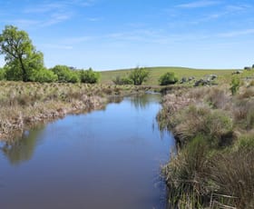 Rural / Farming commercial property sold at Lot 206 Delegate Road Delegate NSW 2633