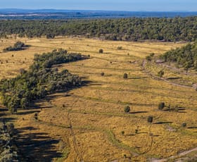 Rural / Farming commercial property for sale at 2074 Leichhardt Highway Wowan QLD 4702