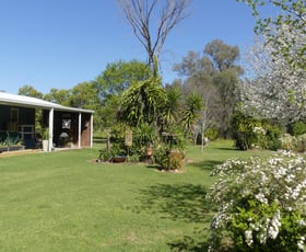 Rural / Farming commercial property sold at 343 Rifle Range Rd Warren NSW 2824