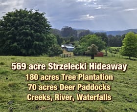Rural / Farming commercial property for sale at Grand Ridge VIC 3870
