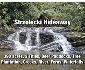 Rural / Farming commercial property for sale at Grand Ridge VIC 3870