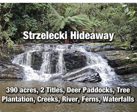 Rural / Farming commercial property for sale at Grand Ridge VIC 3870