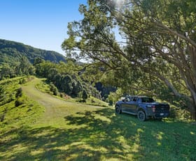 Rural / Farming commercial property for sale at 1310 Currumbin Creek Road Currumbin Valley QLD 4223
