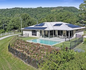 Rural / Farming commercial property for sale at 1310 Currumbin Creek Road Currumbin Valley QLD 4223