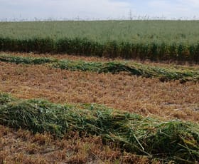 Rural / Farming commercial property sold at Lot 3816 Minyulo Road Dandaragan WA 6507