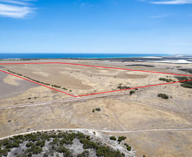 Rural / Farming commercial property for sale at 17499 Flinders Highway Elliston SA 5670