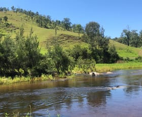 Rural / Farming commercial property for sale at Lot 31 Rocky River Road, Rocky River via Tabulam NSW 2469