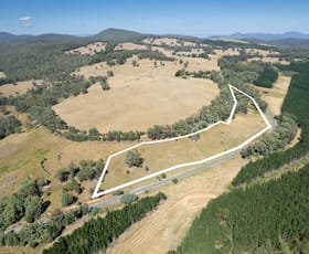 Rural / Farming commercial property for sale at Lot 1 Murray Valley Highway Koetong VIC 3704