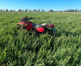 Rural / Farming commercial property for sale at 229 Elliotts Lane Forbes NSW 2871