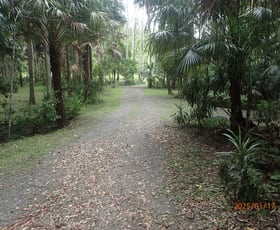 Rural / Farming commercial property for sale at 685 Bagotville Road Bagotville NSW 2477