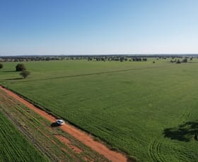 Rural / Farming commercial property for sale at 1 Lisgar Lane Tullamore NSW 2874