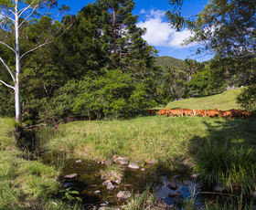 Rural / Farming commercial property for sale at Coolabine QLD 4574