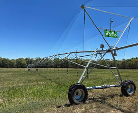 Rural / Farming commercial property for sale at 4007 Kiacatoo Road Condobolin NSW 2877