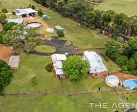 Rural / Farming commercial property for sale at 161 Breeze Road Gidgegannup WA 6083