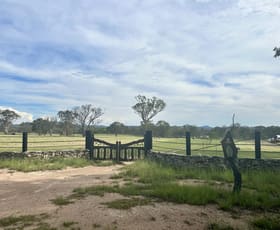 Rural / Farming commercial property for sale at 2087 Rabbit Fence Road Palgrave QLD 4374