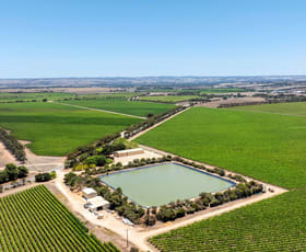 Rural / Farming commercial property for sale at 179 Milang Road Belvidere SA 5255