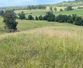 Rural / Farming commercial property for sale at 2033 The Bucketts Way Weismantels NSW 2415