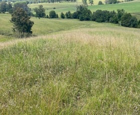Rural / Farming commercial property for sale at 2047 The Bucketts Way Weismantels NSW 2415