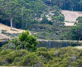Rural / Farming commercial property for sale at 202 Dingo Flat Road Tingledale WA 6333