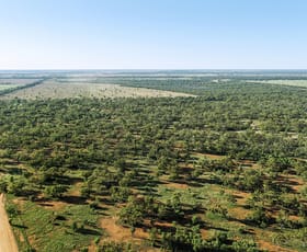 Rural / Farming commercial property for sale at 1121 Okeh Road Girilambone NSW 2831