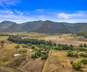 Rural / Farming commercial property for sale at "Bargra Park" Doyles Creek Road Doyles Creek NSW 2330
