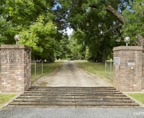 Rural / Farming commercial property for sale at 1057 Great Alpine Road Freeburgh VIC 3741
