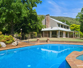 Rural / Farming commercial property for sale at 1057 Great Alpine Road Freeburgh VIC 3741