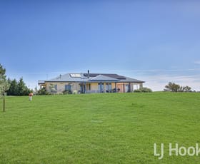 Rural / Farming commercial property for sale at 1525 Trunkey Road Georges Plains NSW 2795
